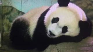 Smithsonian National Zoo