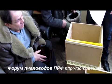 YouTube Трейлер