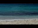 The Beach