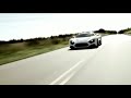 Great,Dane,Zenvo