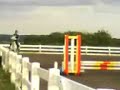 x..me and robo 2'3'' clear round...x x..me and robo 2'3'' clear round...x