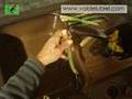 videos de LIMPIANDO ESPÁRRAGOS  I