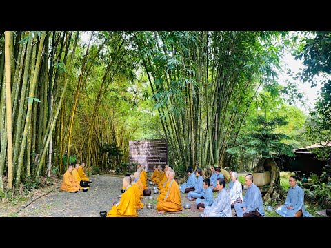 Khất Thực Thiền Quán - Nhìn Đời Bằng Thánh Trí & Trình Pháp