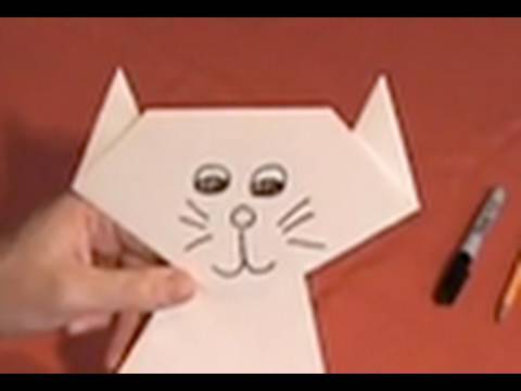 Видео 'Аллергия на кошек?'