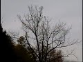 This was last weekend before the Notre Dame home game against Air Force. Yes Notre Dame sucks this year so no point in bashing me cause i like Notre Dame. These are the 2 F-16's flying around 