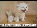 Lolcats