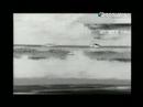 Future-Weapons-Stars