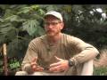 videos de Rainwater Harvesting Basics (1) Brad Lancaster