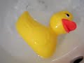 Floating plastic ducky