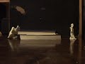 Stop Motion Stop Motion