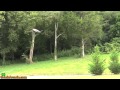 Video ansehen
