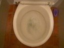 Toilet flush Toilet flush