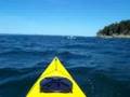 Sea Kayaking in Baie Sainte Marie