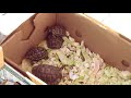 Venta tortugas en Tunez
