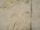 MOV080540-2821.mpg