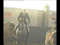 WRR Championat 2007 Westernreiten Trail Jugend Elena Friedt
