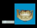 Pobanz Orthodontics - www.webracem.com Pobanz Orthodontics - www.webracem.com