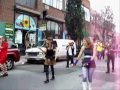 Pets On Parade