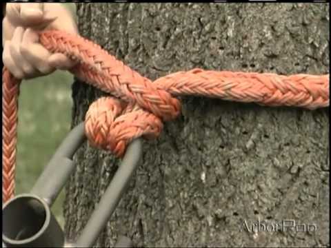 how to tie cow hitch