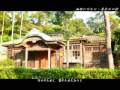 幽雅に咲かせ、墨染めの桜 - [虎頭山神社]MV劇場 - 残酷よ希望となれ／by.桜夜つばさ