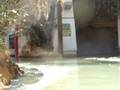 Jurassic park - Dhawal Chheda - 3