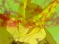 Db zgt needs a place for it's head AMV