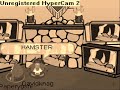 Club Penguin Hamster Dance