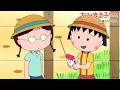 ちびまる子ちゃん　2026/8/23放送　第1544話 「さくら家、怒らないと決めた一日」「呪われたトランシーバー」の巻アニメ予告