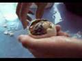 Tasty treat- Balut!!!!