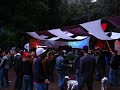 Beat Safari #108