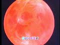 Dragon Ball Z OP Cha La~(Korean Ver) Dragon Ball Z OP Cha La~(Korean Ver)