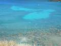 Eric's Hanauma Bay 03