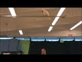 Mango Flies Down