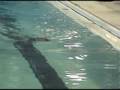 videos de Megan Breast Stroke