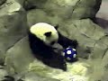 Tai\