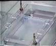 DNA-electrophorese