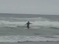 First surfing lesson First surfing lesson