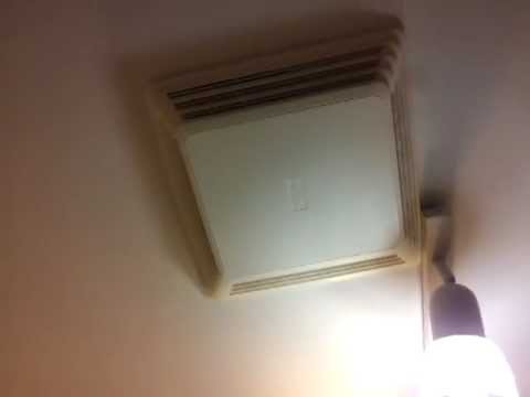 how to get birds out of bathroom vent
