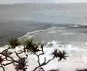 noosa noosa