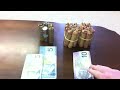 Click here to watch this video Is Coin Roll Hunting Expensive?