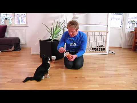 YouTube Preview Image
