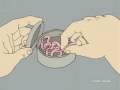 SUPERJAIL [worm joke]