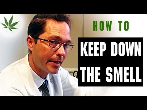 how to get rid the smell of weed