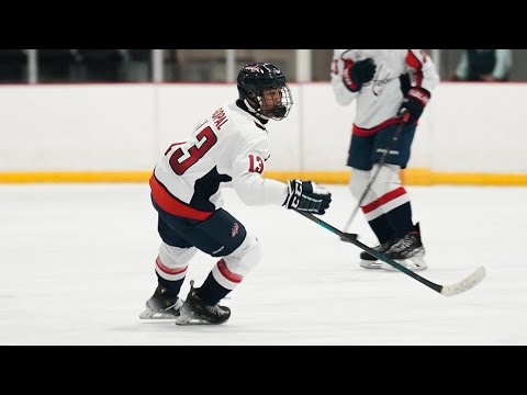 Gavin Gopal Highlight up to Thanksgiving