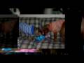 videos de Christmas Greetings 2008