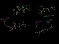 Zaitsev’s Rule Video Tutorial
