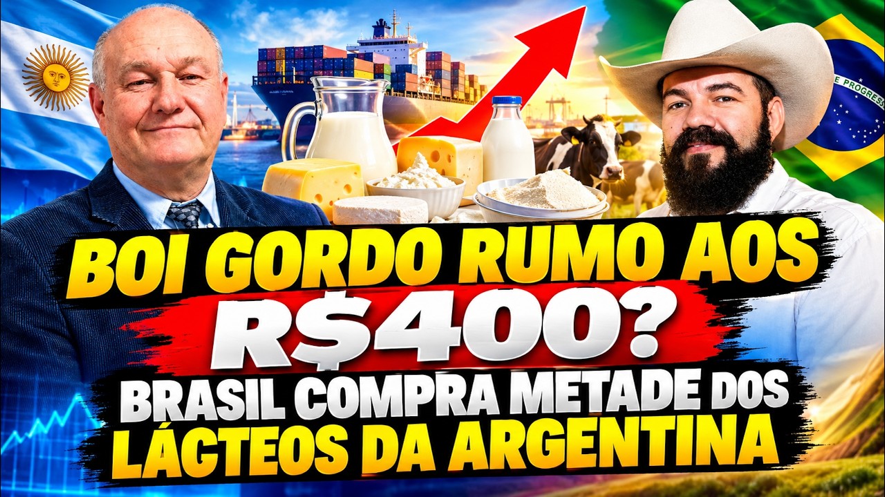 Boi Gordo Rumo aos R$400? Brasil Compra metade dos Lácteos da Argentina.