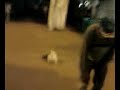 July canito bailando en almendralejo