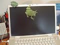 frog screensaver frog screensaver