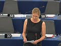Silvana Koch-Mehrin on the French Presidency
